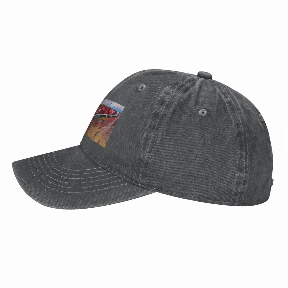 De Ghan Train Australia Baseba - Cap Streetwear Brand recensie en prijs